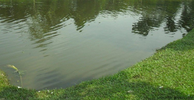 মেয়ের মরদেহ পেলেন বাবা পুকুরে খুঁজতে গিয়ে